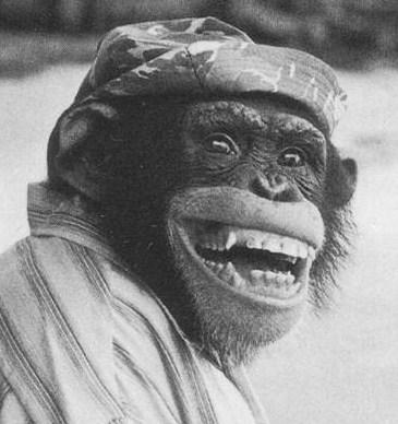 Monkey Smiling